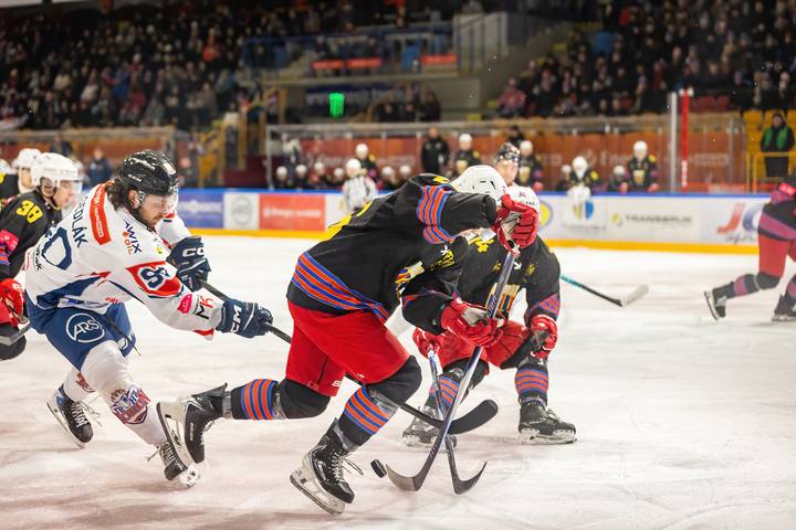 Ice Hockey. Tauron Hokej Liga. Energa Torun - Polonia Bytom. 11.01.2026