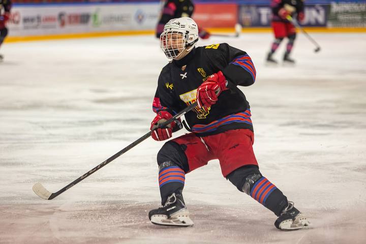 Ice Hockey. Tauron Hokej Liga. Energa Torun - Polonia Bytom. 11.01.2026