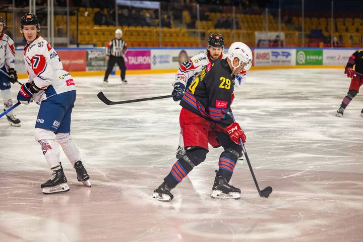 Ice Hockey. Tauron Hokej Liga. Energa Torun - Polonia Bytom. 11.01.2026