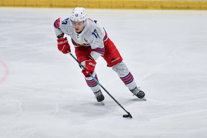 Ice Hockey. Tauron Hokej Liga. Polonia Bytom - KH Sanok. 11.01.2026