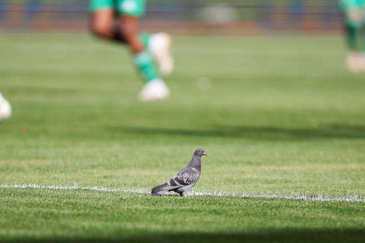 Football. PKO BP Ekstraklasa. Radomiak Radom - Motor Lublin. 06.04.2026