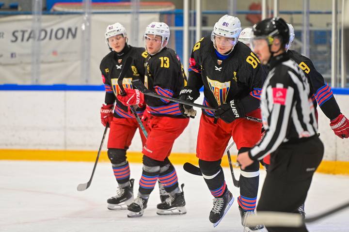 Ice Hockey. Tauron Hockey League. STS Sanok - Polonia Bytom. 02.12.2025